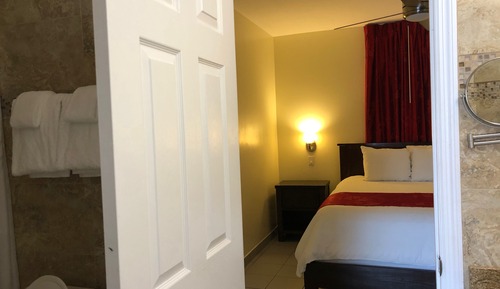 Standard Room, 1 Queen Bed, Non Smoking, Refrigerator & Microwave (Walk-in Shower;with Sofabed)