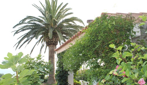 Basic Apartment (Trilo 6 pax)