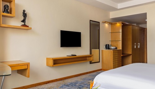 Standard Room - Commercial View