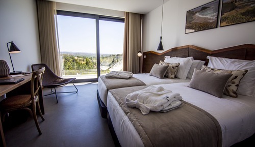 Deluxe Double or Twin Room, Mountain View