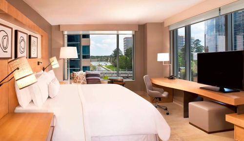 Room, 1 King Bed, Non Smoking (Hearing Accessible)
