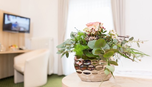Comfort Single Room
