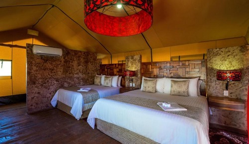 Two Double Beds, Garden View (Harmony Tent)