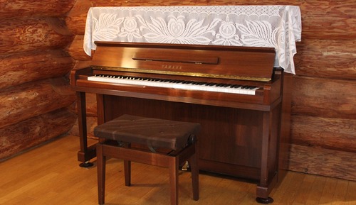 Log House with Piano