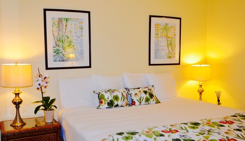 Basic Apartment, 1 King Bed with Sofa bed, Pool View