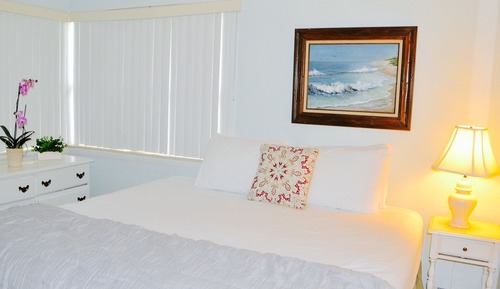 Basic Apartment, 1 King Bed with Sofa bed