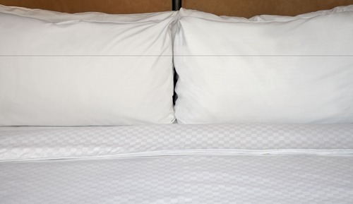 Room, 1 King Bed with Sofa bed, Non Smoking (Mobility Accessible, Roll-in Shower)