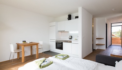 Family Suite, Kitchenette (terrace)