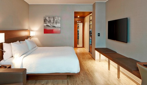 Room, 1 King Bed with Sofa bed