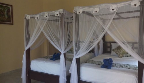 Twin Room, Garden View