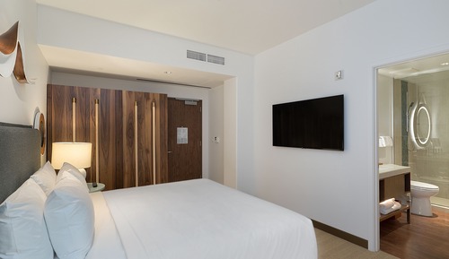 Room, 1 King Bed