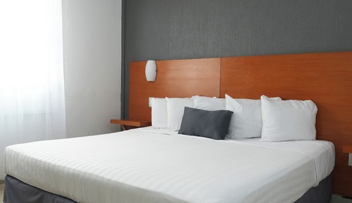 Room, 1 King Bed, Accessible, Non Smoking (Roll-in Shower)
