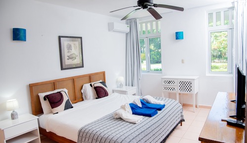 Executive Apartment