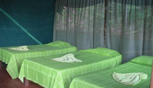 Superior Cabin, 1 Bedroom, River View, Mountainside