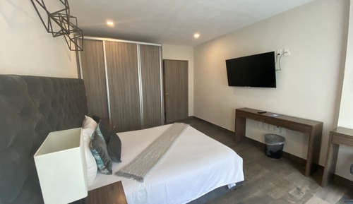 Standard Suite