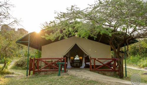 Tent