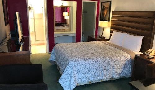 Standard Queen Room