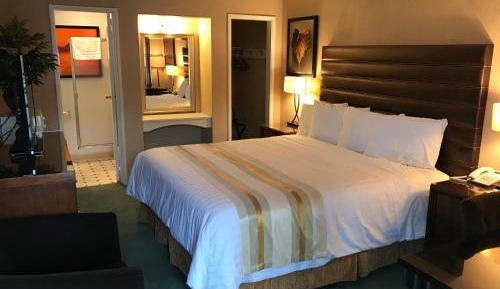 Standard King Room