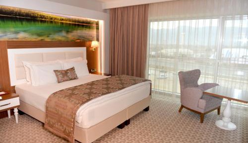 Deluxe Single Room