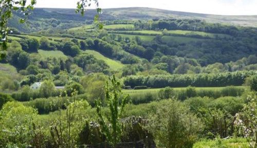 Apartment with Garden View