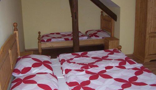 One-Bedroom Apartment (4 Adults)