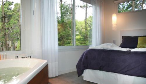 One-Bedroom Apartment with Jacuzzi