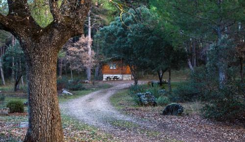 Wood Cabin (1-2 adults)
