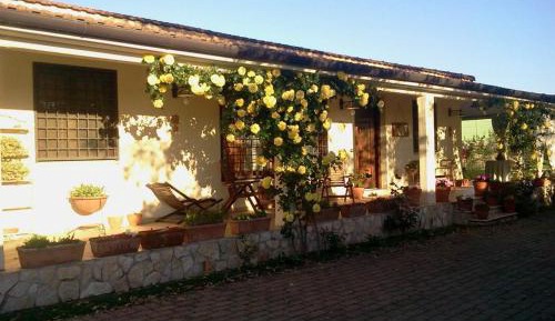 Quadruple Room with Garden View