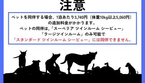 Superior Twin Room with Sea View