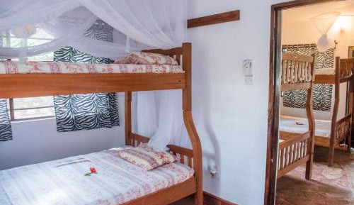 Bunk Bed in Mixed Dormitory Room