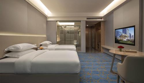 Superior Twin Room with City View