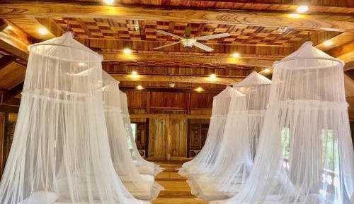 Mixed Dormitory Room