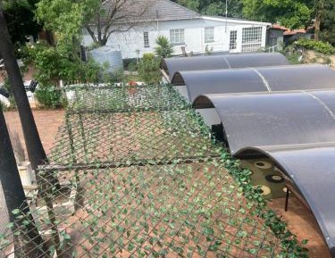 Studio with Garden View