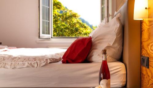 Double or Twin Room with Mountain View