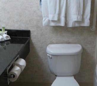 One-Bedroom King Suite with Living Area