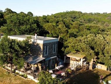 Two-Bedroom Apartment with Mountain View