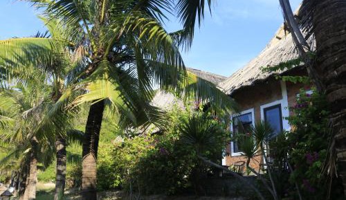 Bungalow - Beach Front