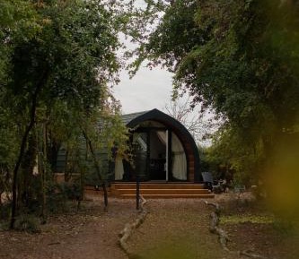 Deluxe Bungalow