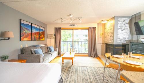 Apartment with Mountain View