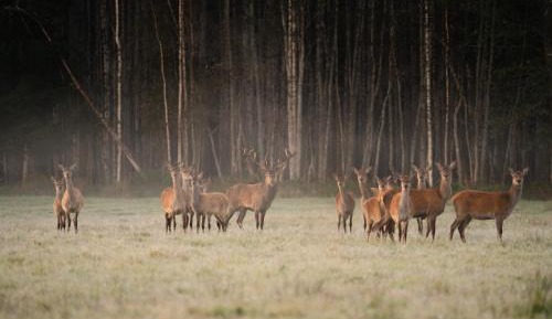 Family Room with Private Bathroom