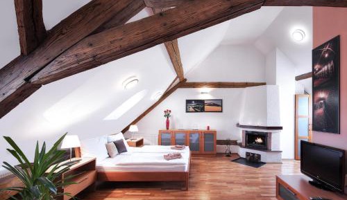 Apartment with Fireplace