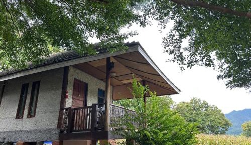 Queen Room with Garden View