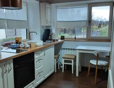 Studio with Sofa Bed