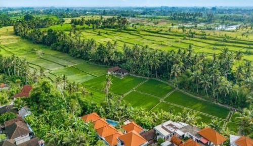 Queen Room with Pool View