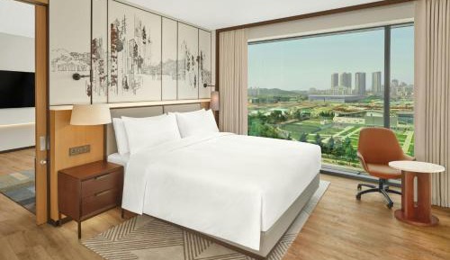 Deluxe Suite with One King Bed and City View