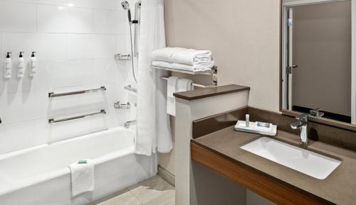 Executive Suite, 1 King, Sofa bed (Mobility Accessible w/ Tub)