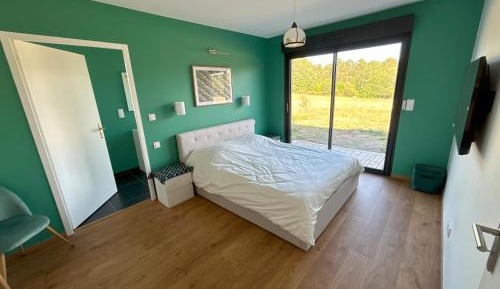 Standard King Room