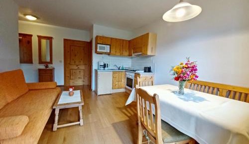 Superior One-Bedroom Apartment