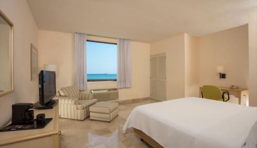 Executive Room, 1 King