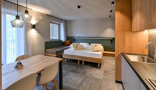 Studio Apartment